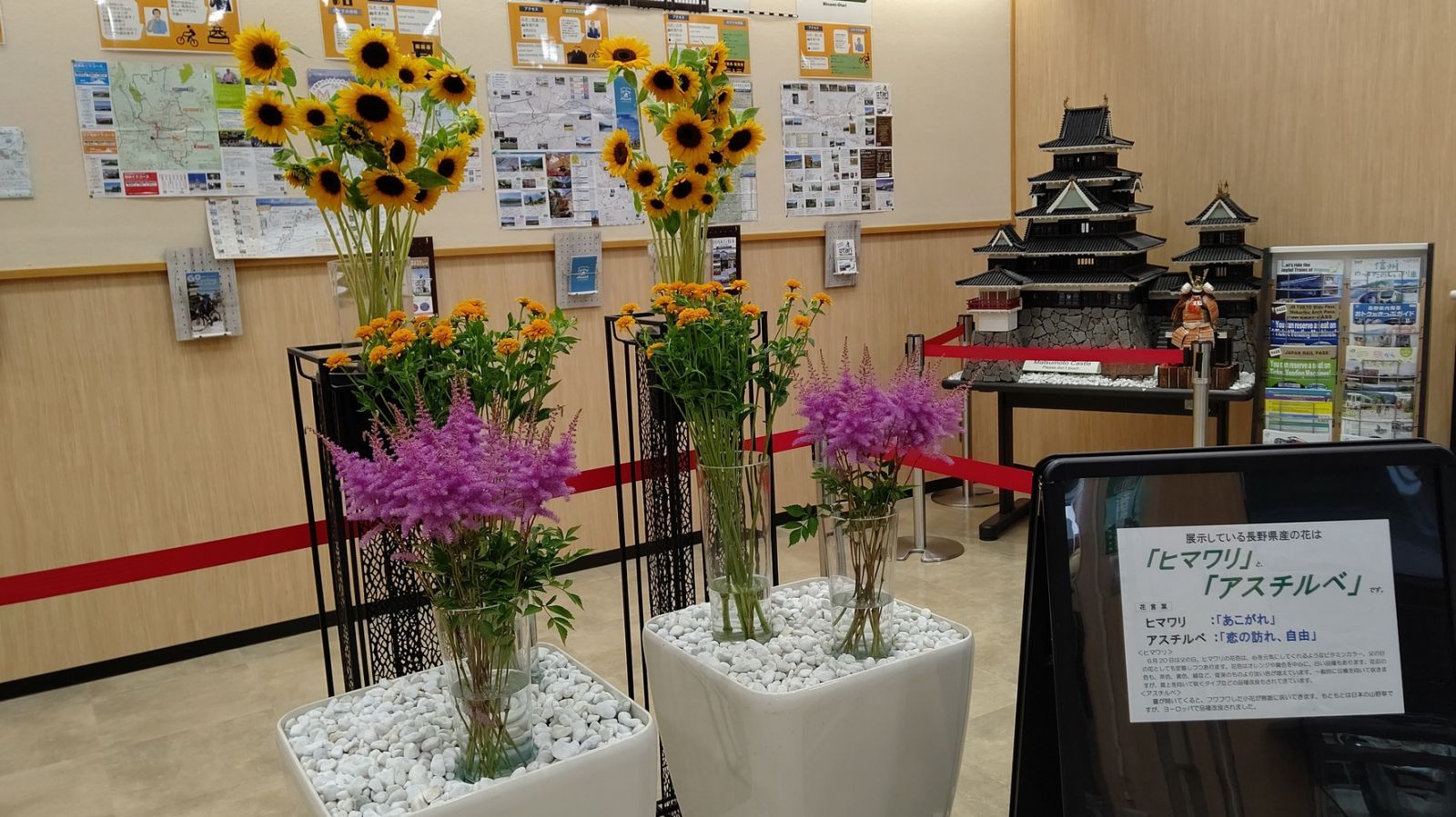 今週のお花 松本観光コンベンション協会